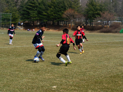 整備された芝生のグラウンドで、黒と赤のユニフォームを着た数人の少年たちが、サッカーボールを奪い合っている試合中の写真