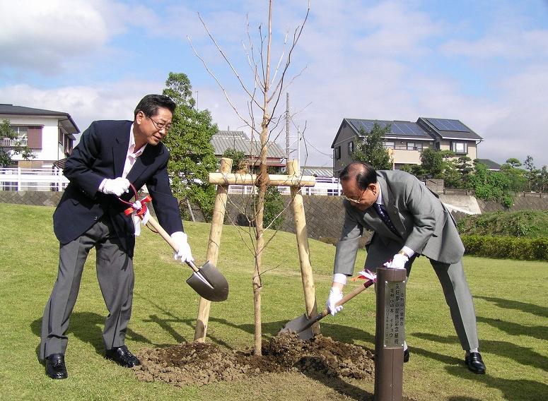 スーツ姿の2人の男性が白い手袋をしてシャベルで若木の根元に土をかぶせており、木の横には「友好都市提携記念植樹」と記された標柱が立てられている様子を捉えた屋外での植樹式の写真