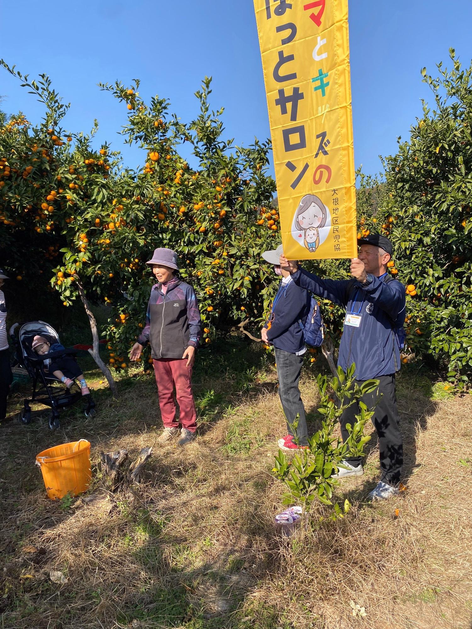 よく晴れた青空のもと、ミカン畑で人々がミカン狩りをしており、奥にはベビーカーに乗った赤ちゃんも見える屋外イベントの写真