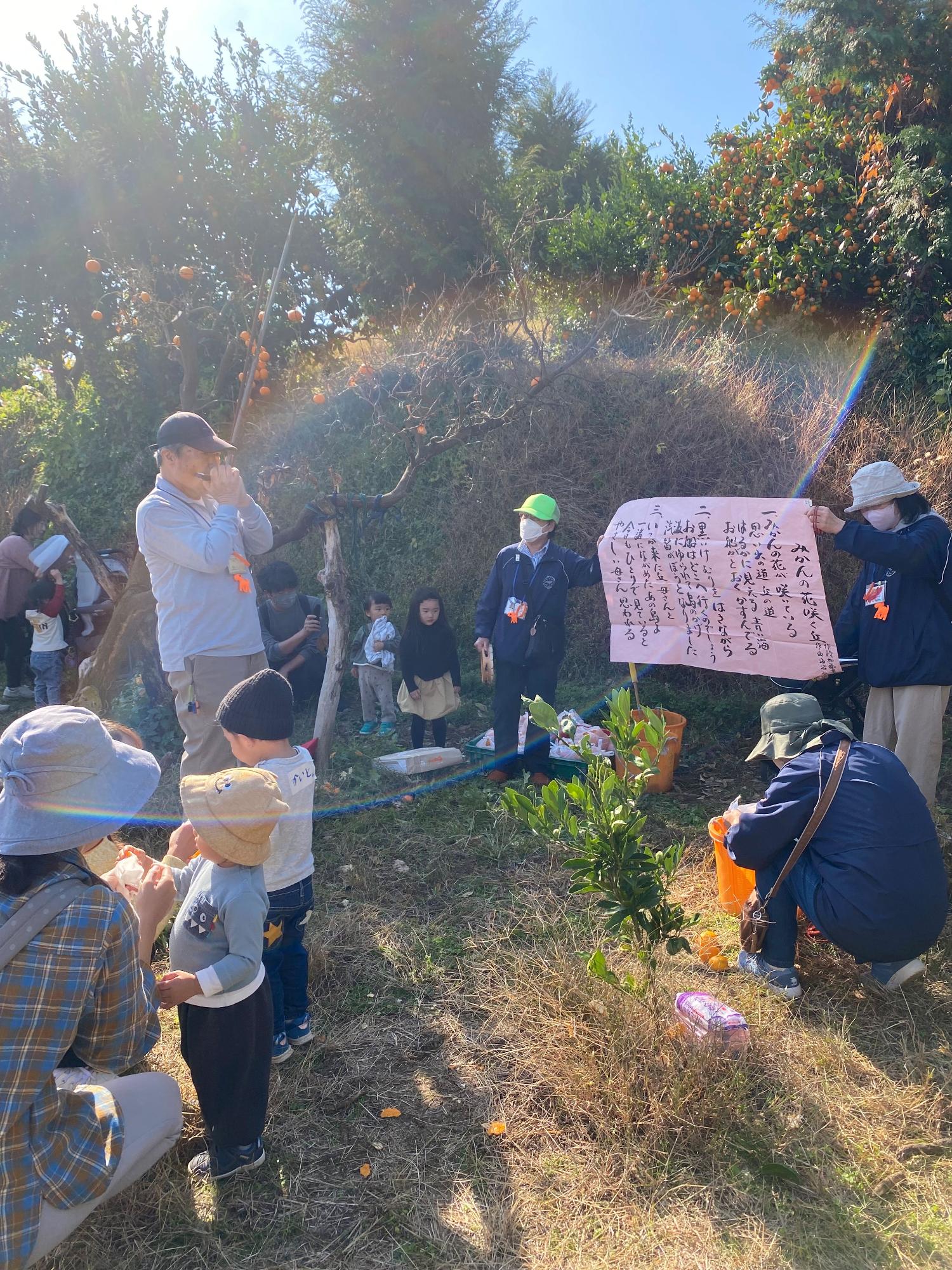 よく晴れた日のミカン畑で、大勢の大人と子供たちが集まり、ピンク色のボードに書かれた説明を熱心に聞いている屋外イベントの写真