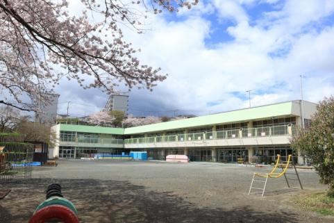 白い雲が浮かぶ春の青空の下、園舎の奥や手前の枝先に桜の花が咲き誇る園庭から撮影した、薄緑色の屋根と白い壁のL字型をした2階建てのしぶさわこども園の園舎の建物外観の写真