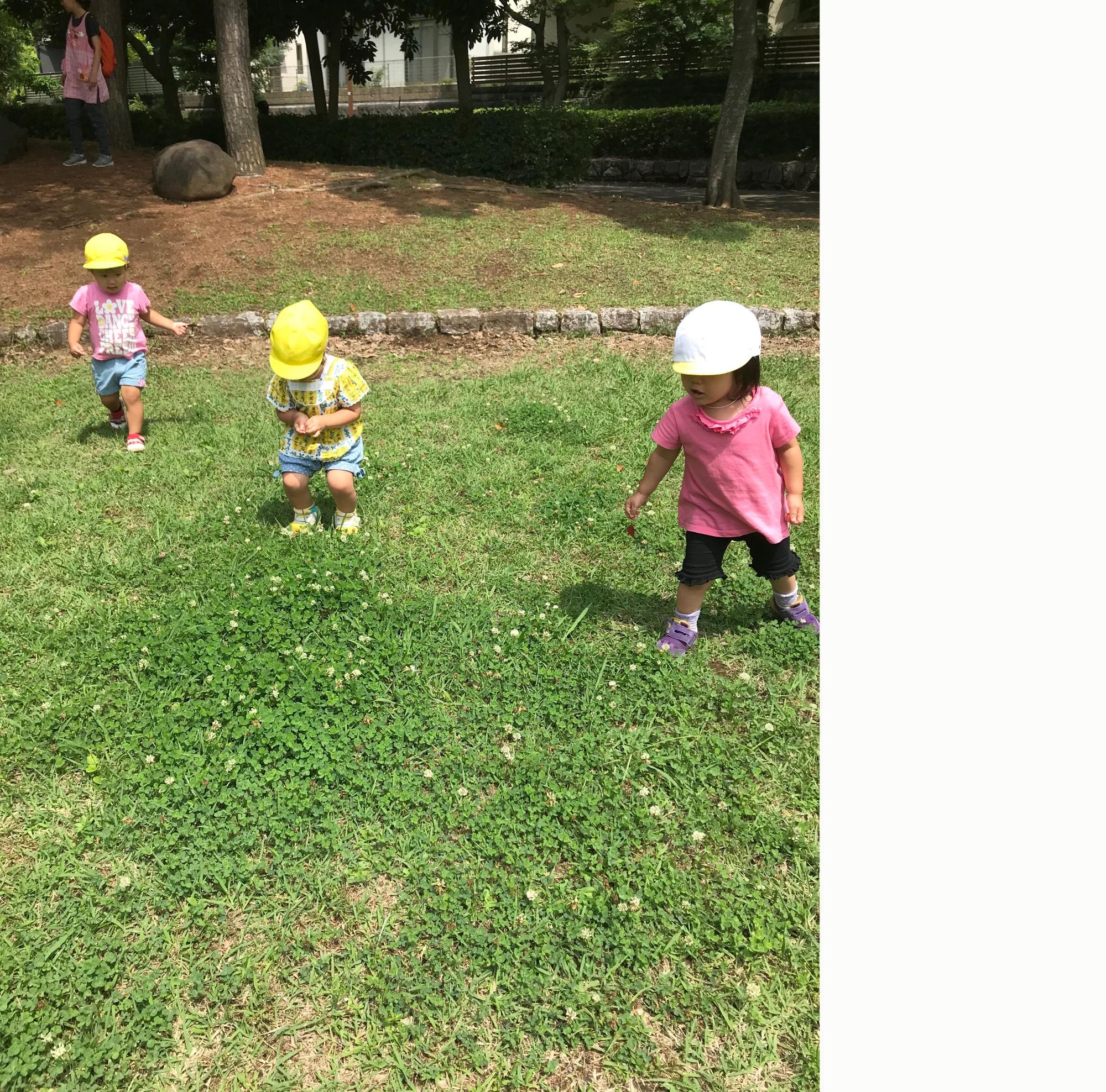 緑豊かな芝生の上で、帽子を被った三人の幼児が、楽しそうに歩いたりしゃがんだりして遊んでいる様子の写真