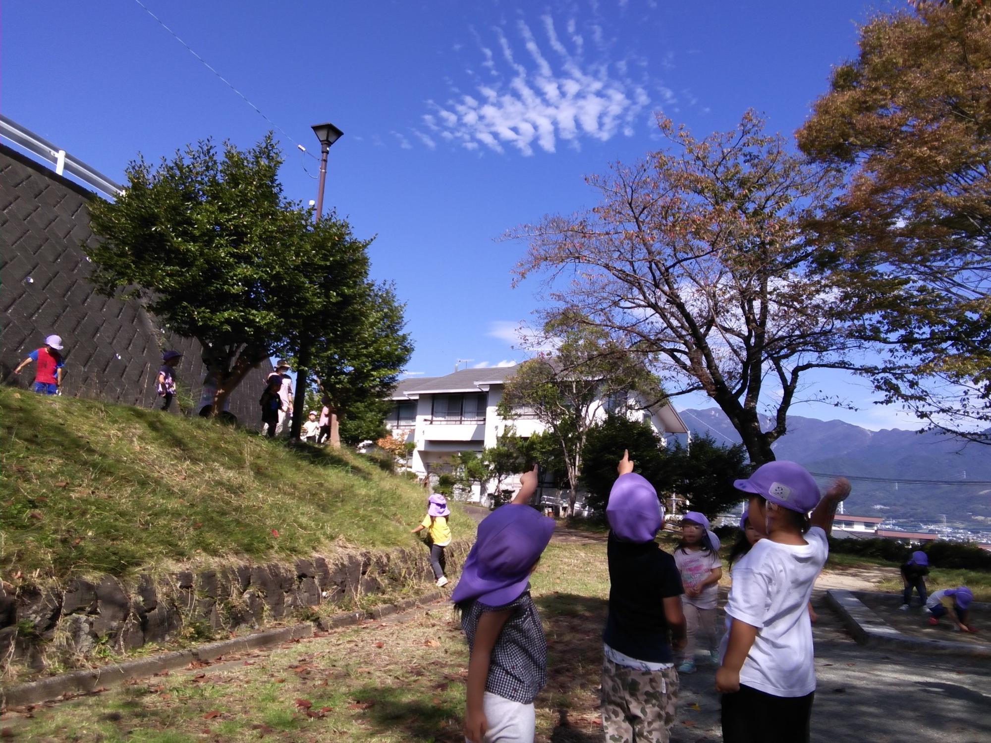 屋外の草が生い茂る斜面の下に立つ子供たちが、青空に薄く広がる雲を指差している写真