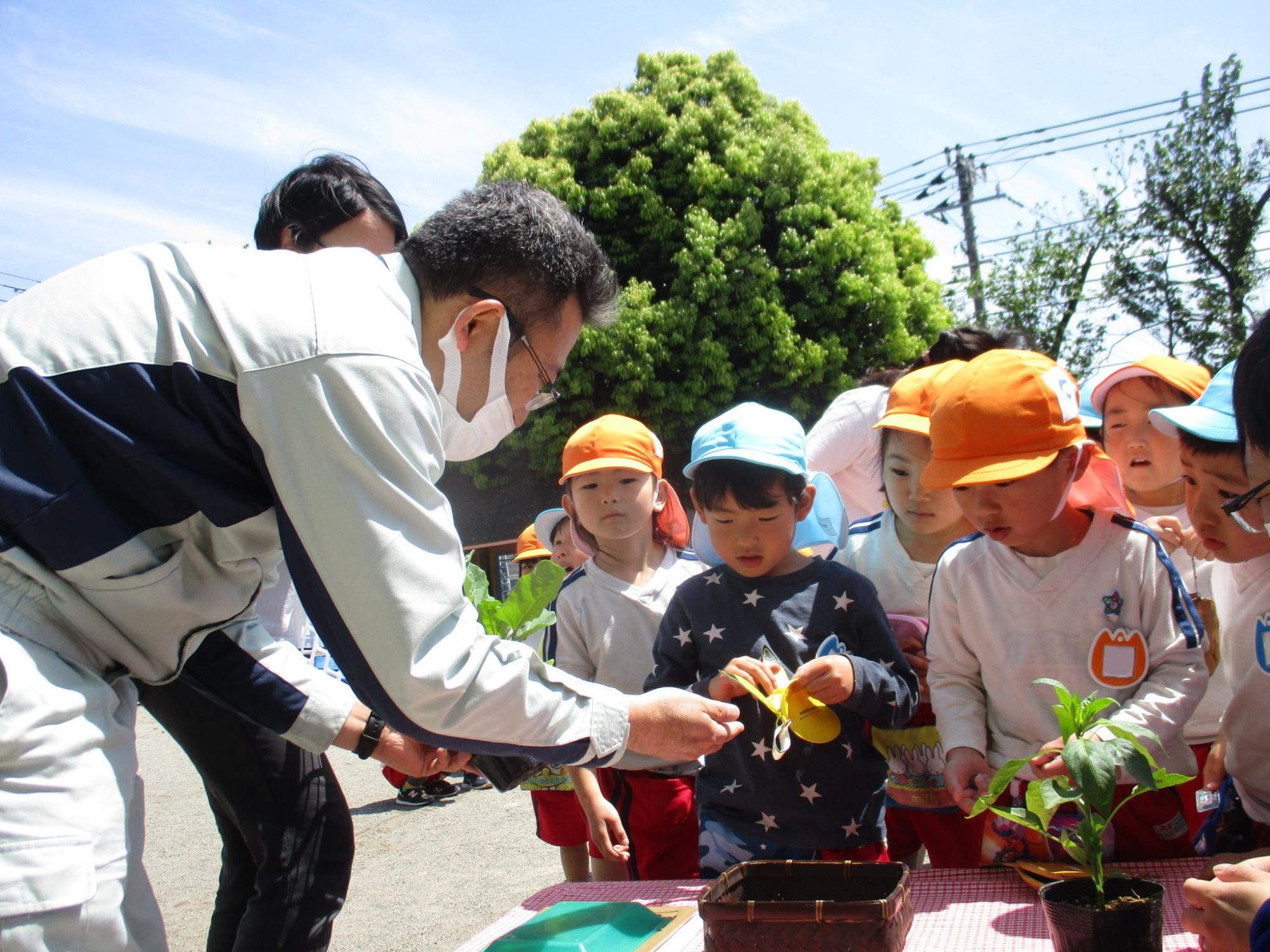 園庭で地域協力者が園児たちに、野菜の苗の植え方を教えている様子の写真