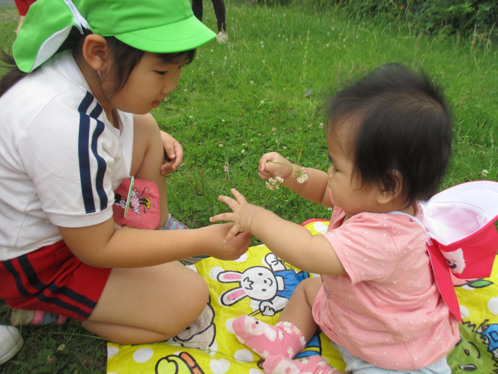 黄色いレジャーシートに座る赤ちゃんに園児が白い花を見せている様子の写真