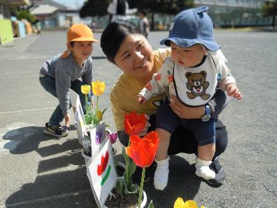 チューリップの植木鉢の前にしゃがんだ先生に抱かれた赤ちゃんが、赤いチューリップを見ている写真