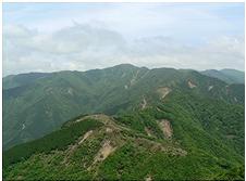 上空から撮影された、青空の下で深い緑色の木々に覆われた多数の山々が連なり、一部で土砂が露出した場所が見られる雄大な風景写真