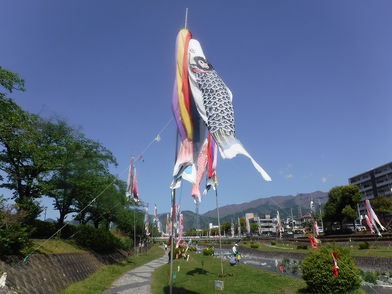 晴れ渡った青空の下、川沿いの遊歩道の上空に、数多くの色とりどりの鯉のぼりが掲げられており、そのうちの一番上にある大きな鯉のぼりが画面中央で強く風を受けてたなびいている写真