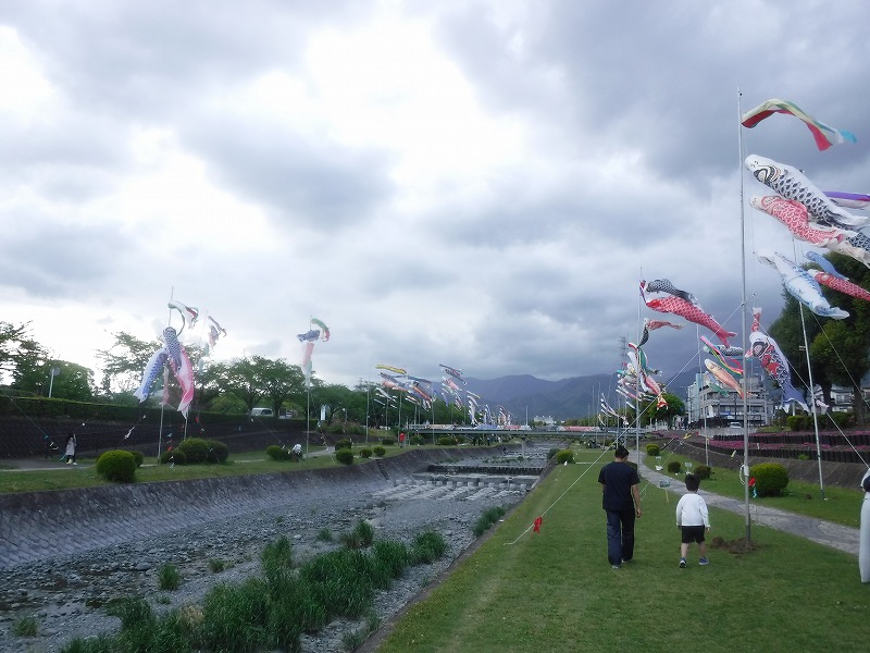 曇り空の下、川に沿った土手と遊歩道に沿って、色鮮やかな鯉のぼりが多数掲げられており、手前には二人連れの親子が遊歩道を歩いている様子を写した、行事の風景写真
