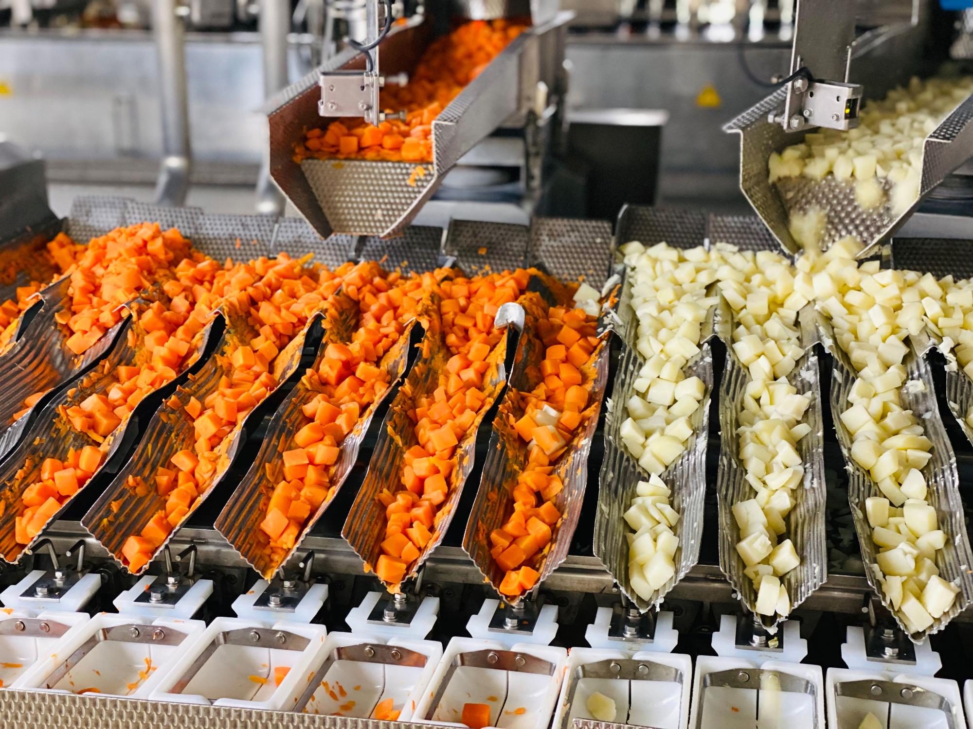 工場のベルトコンベアの上で、ニンジンとジャガイモが小さいサイコロ状にカットされ、それぞれのレーンに流れていく様子を捉えた写真