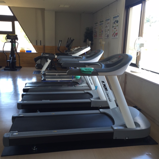 広々とした明るい窓際のトレーニングルームに、手前から奥に向かって並べられた複数のランニングマシン（トレッドミル）と、その後ろにクロストレーナーなどのフィットネス機器が設置されている写真