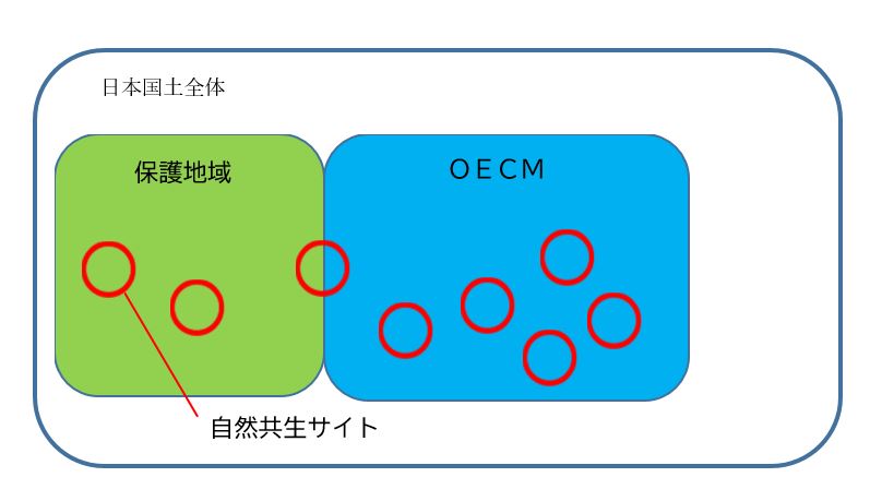 日本国土全体を表す大きな枠の中に、「保護地域」と「OECM」という2つの領域が隣り合って配置され、そのどちらの領域内にも、赤い円で囲われた「自然共生サイト」が点在している自然共生の説明図
