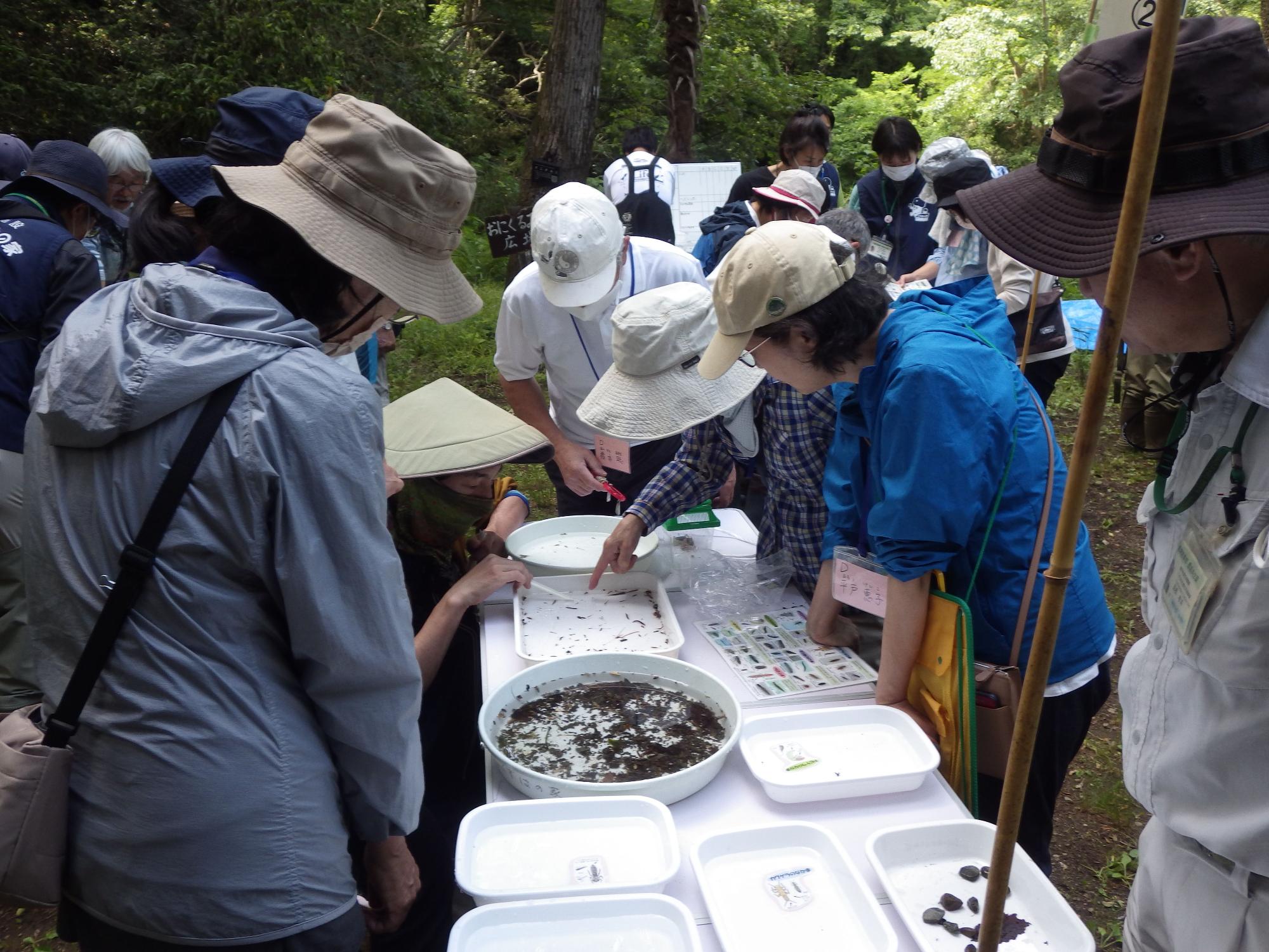 野外の森の中で、帽子をかぶった参加者たちが小さな白いテーブルを囲み、白い容器に集められた水生生物や落ち葉を観察し、数人の参加者が水槽のような容器の中を指さして熱心に話し合っている講座の様子の写真