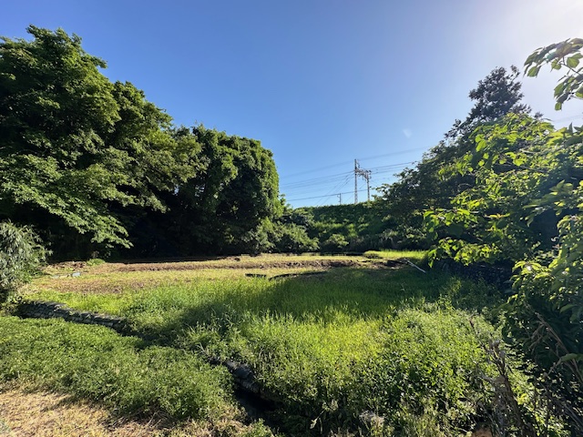 雲一つない青空の下、草木が生い茂った田畑と森の間に電線と電柱が見える、自然豊かな里山の風景写真