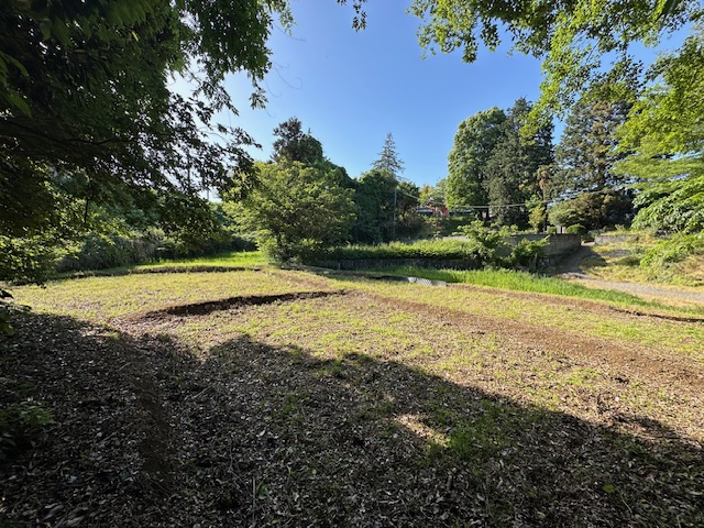太陽の日差しが降り注ぐ中、周囲を木々に囲まれた田んぼの土が露出しており、耕作前の時期の風景を捉えた写真