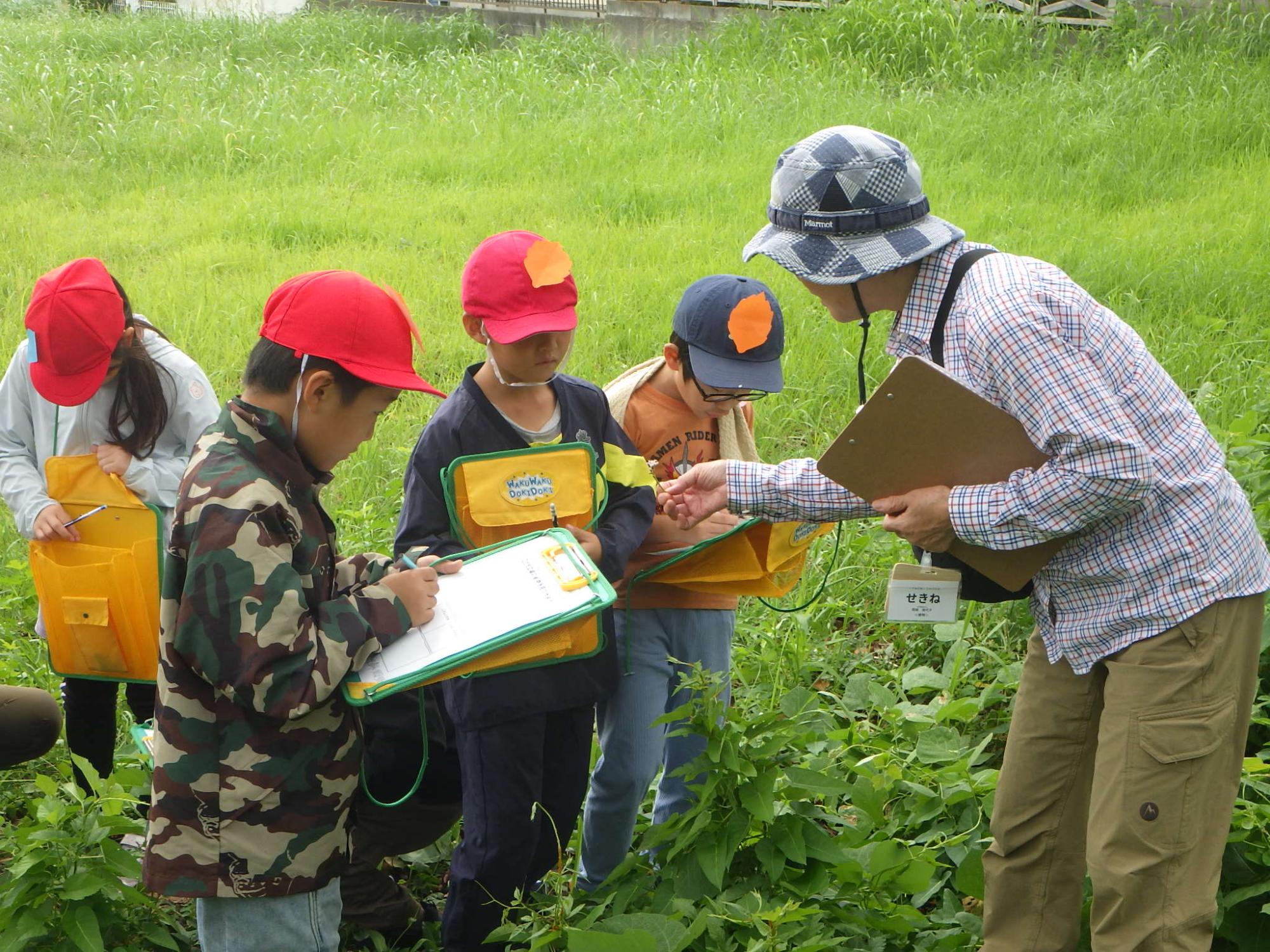 広々とした草地で、迷彩柄を含む帽子をかぶった4人の子どもたちが、クリップボードを持ちながら観察記録をとり、チェック柄の帽子をかぶった指導員と思われる女性が指導をしている、野外での自然学習の様子の写真