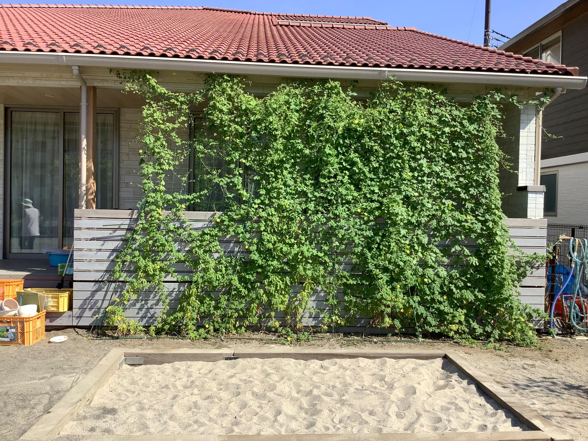 赤い屋根の保育園の園舎の窓が緑のカーテンで覆われている様子を園庭から撮影した写真