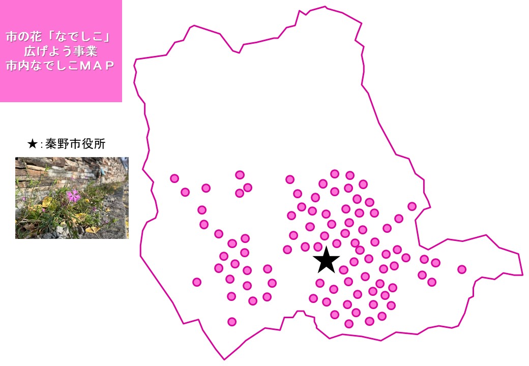 市の花「なでしこ」広げよう事業 市内なでしこMAP（道端にピンク色の小さな花びらをつけたなでしこの花が咲いている写真）