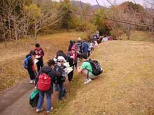 子供たちがリュックサックを背負い、地図のようなものを見ながら、土手の草地と舗装された道の境目に集まって列をなしている、エコスクールの様子の写真