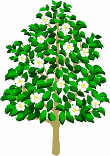 一本の木に白い花が咲いているさざんかのイラスト