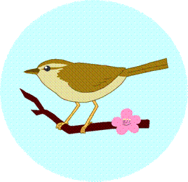 ピンク色の花が咲く枝にとまった、腹面は白色背中がオリーブ褐色の体をした、うぐいすのイラスト