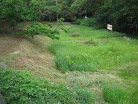 木々に囲まれた敷地内に部分的に草刈りされた斜面と、緑豊かな雑草が生い茂る広場が混在する、自然公園の一角を捉えた写真