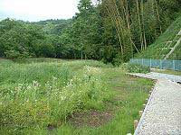 背の高い草木が生い茂る湿地帯の横に、木製の遊歩道が設置されており、その奥には青いフェンスと土手が写る自然風景の写真