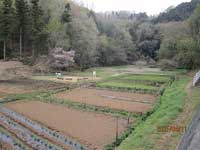 茶色い土の畑が複数段に分かれて広がる、山に囲まれたのどかな田園風景を上から捉えた写真