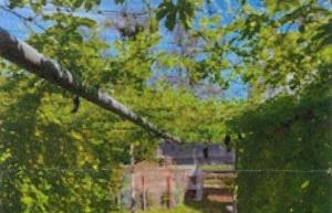 希望の丘はだの2