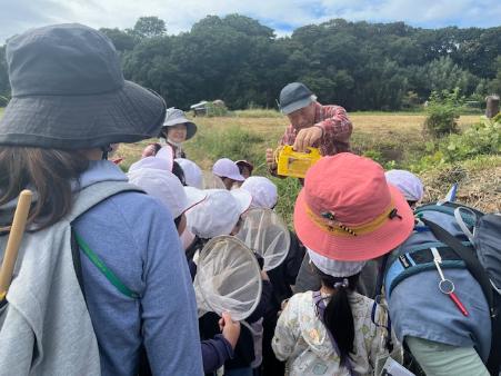 エコスクール昆虫