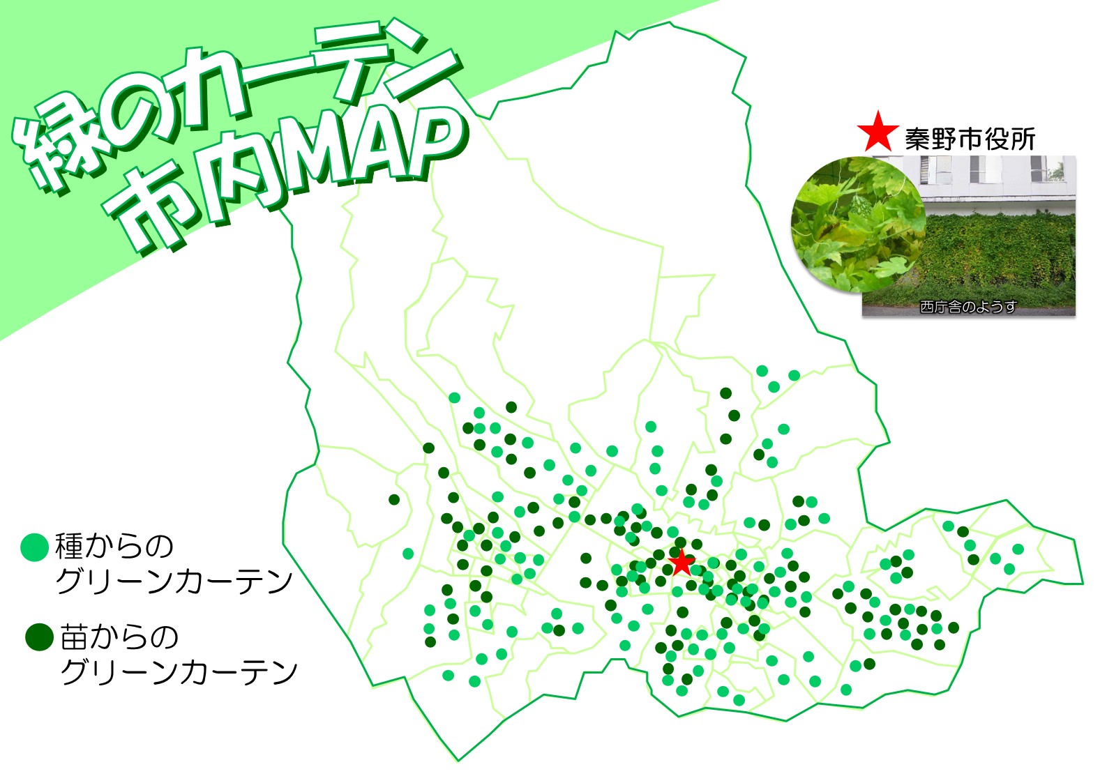 左上には「緑のカーテン市内MAP」というタイトルと、右上に西庁舎の緑のカーテンの写真が添えられている、緑色で描かれた市の地図のイラストの中央に、赤い星印で秦野市役所が示されており、市内全域に多数の緑色の丸い点が記されている地図
