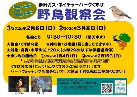 ミニ野鳥観察会チラシ