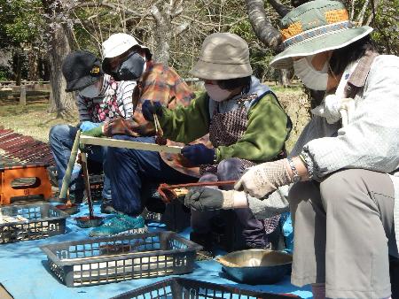 植物の名札づくり