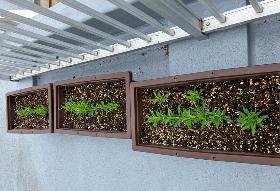 株式会社リンレイナデシコ