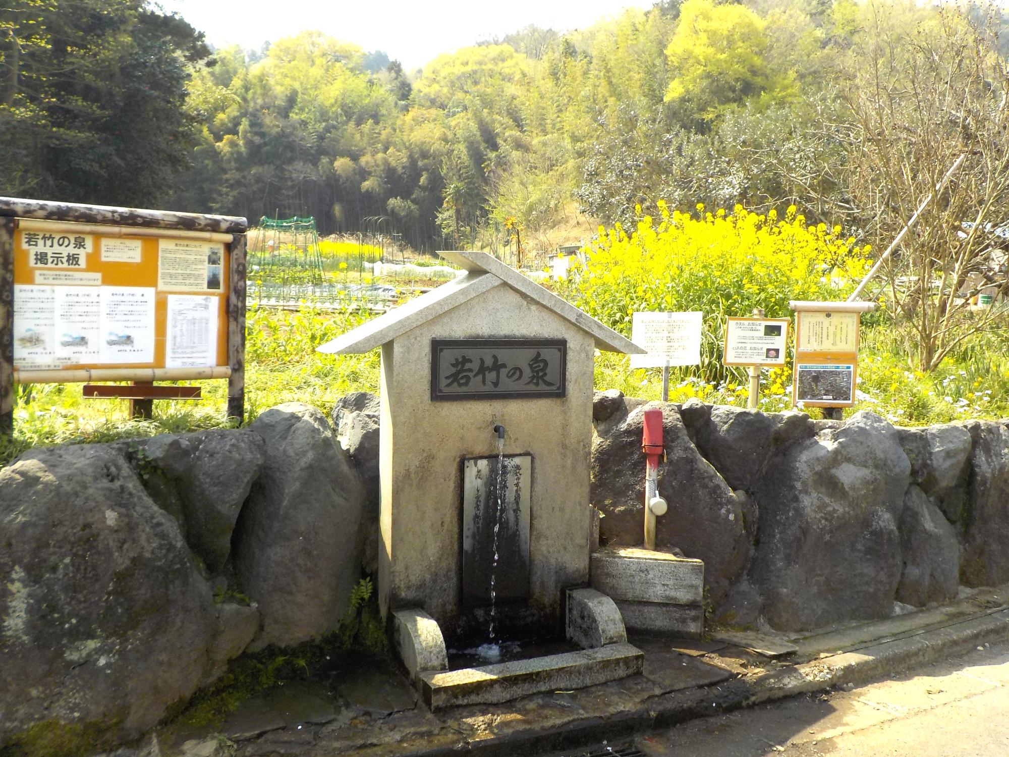 若竹の泉