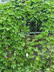 株式会社ウィザップ偕揚社