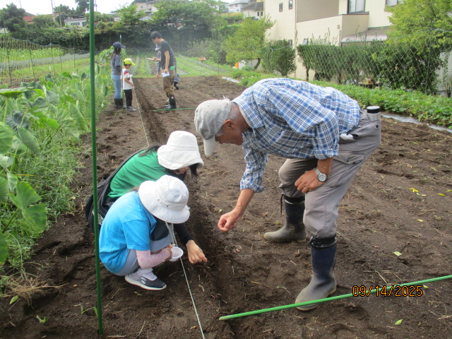 種まき植付け体験1
