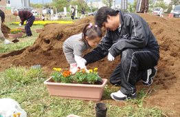 若い男性がしゃがみこみ、小さな女の子と一緒にプランターにマリーゴールドの苗を植え付けており、背後には土の山と他の参加者が作業している広場でのフラワープランター作製の写真