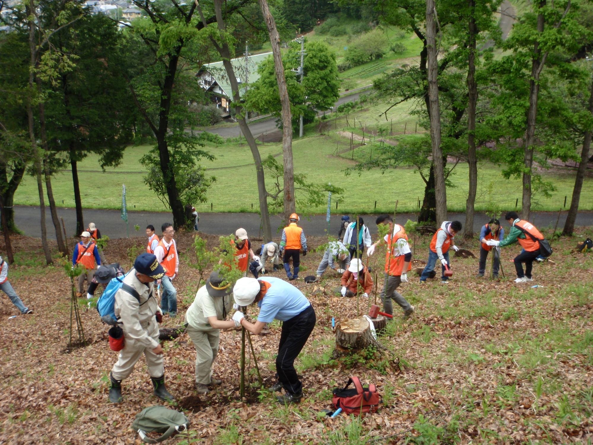 オレンジ色のベストやヘルメットを着用した複数の参加者が、苗木を植え付けたり支柱を立てたりする作業に熱心に取り組んでいる植樹活動の様子の写真
