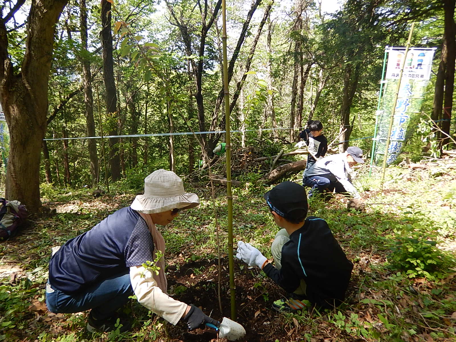 陽光が降り注ぐ山林の中で、日よけ帽をかぶった女性と野球帽をかぶった男の子が、小さな苗木の周りの地面をスコップで掘って熱心に植え付け作業を行なっており、他にも数人が活動している植樹の様子の写真
