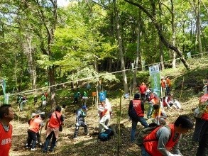 若葉の緑が鮮やかな日当たりの良い山林の斜面で、赤や緑のベストを着用し軍手をはめた大勢の参加者が集まり、植樹の作業に熱心に取り組んでいる様子を捉えた遠景写真