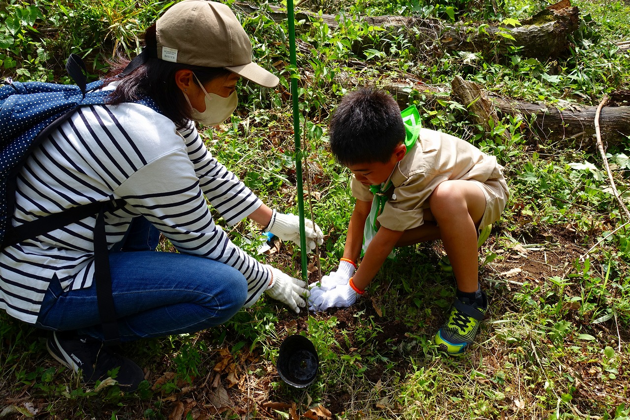 明るい日差しの差し込む山林の斜面で、カブスカウトの制服を着た男の子とマスクとキャップを着用した女性が、軍手をして小さな苗木を植えている、自然保護活動の様子を捉えた写真