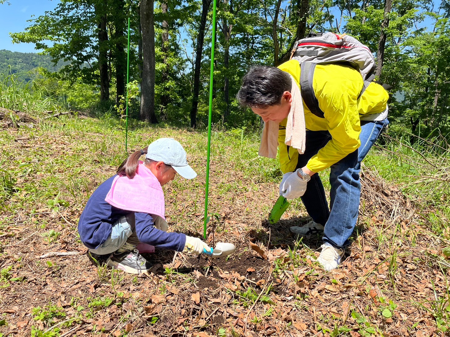 よく晴れた日に緑豊かな山の中で、蛍光イエローのジャンパーを着た男性と水色のキャップをかぶった女性が、小さなスコップを使って地面に苗木を植えている植樹活動の様子の写真