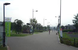 公園の舗装された中央の道に沿って「全国植樹祭」と書かれた幟旗が立っている写真