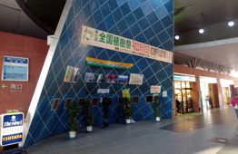 青いタイルの壁に「全国植樹祭」と書かれた横断幕が掲げられ、その下にはイベント関連の写真やポスターが数枚展示され、植栽の鉢植えが置かれている写真