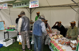 雨の日のイベント会場で、「JAはだの」と書かれたテントの下、透明のカッパを着た人が、農産物などの商品を眺めている写真