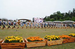 野外の芝生広場で、黄色やオレンジ色のマリーゴールドが植えられた木製プランターが並んでおり、奥では大勢の演者が横一列にアルプホルンを演奏している写真