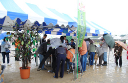 雨の屋外イベント会場で、青と白のストライプのテントの下に人々が集まり、設置されたプランターの木に葉の形をした札が吊るされ、その横で何かの記入や受け渡しをしている様子の写真