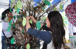 屋外のテントの下で、長い黒髪の女性が、緑色の葉っぱの形をした願い事のような札が多数吊るされた造花の木に、札を掛けている様子を捉えた写真