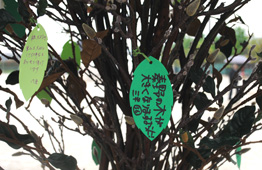 造花でできた木の枝に、「秦野の木が大きく育ちますように」という願い事が手書きで書かれているクローズアップ写真